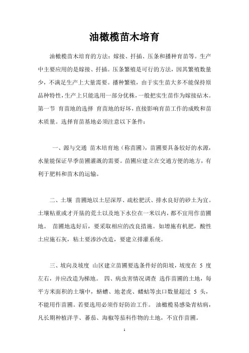 油橄榄苗木繁育