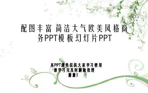 配图丰富 简洁大气欧美风格商务PPT模板幻灯片PPT
