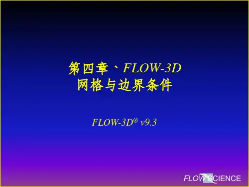 第四章 FLOW-3D V9.3网格与边界条件