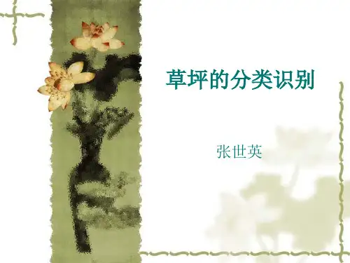 草坪的分类