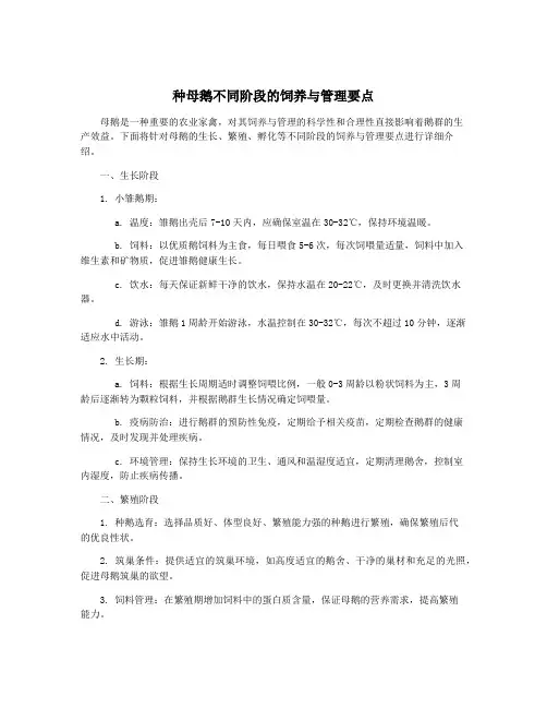 种母鹅不同阶段的饲养与管理要点