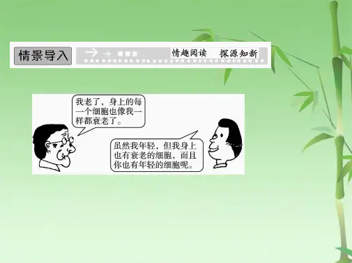 高中生物 4-3细胞的衰老和凋亡课件 浙科版必修1(共30张PPT)