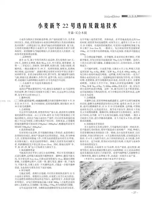 小麦新冬22号选育及栽培技术