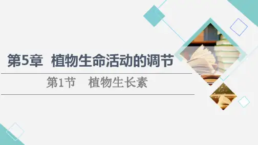 高中生物新人教版选择性必修1植物生长素(79张)课件
