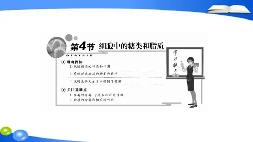 高中生物人教版必修一 第2章第4节 细胞中的糖类和脂质 课件PPT