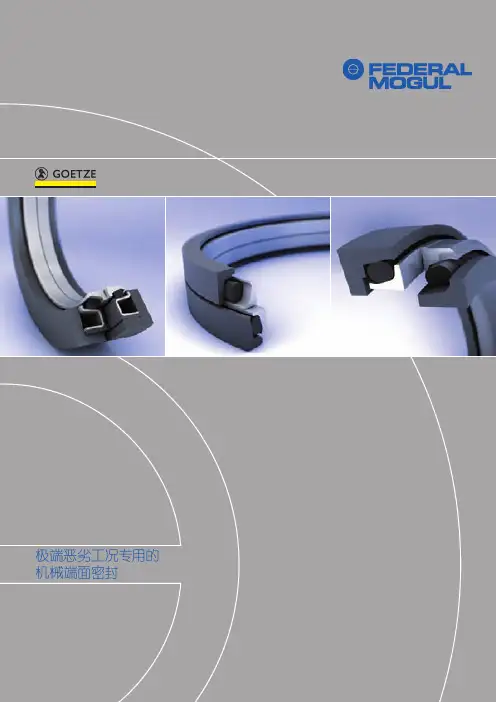 极端恶劣工况专用的机械端面密封-Federal-Mogul