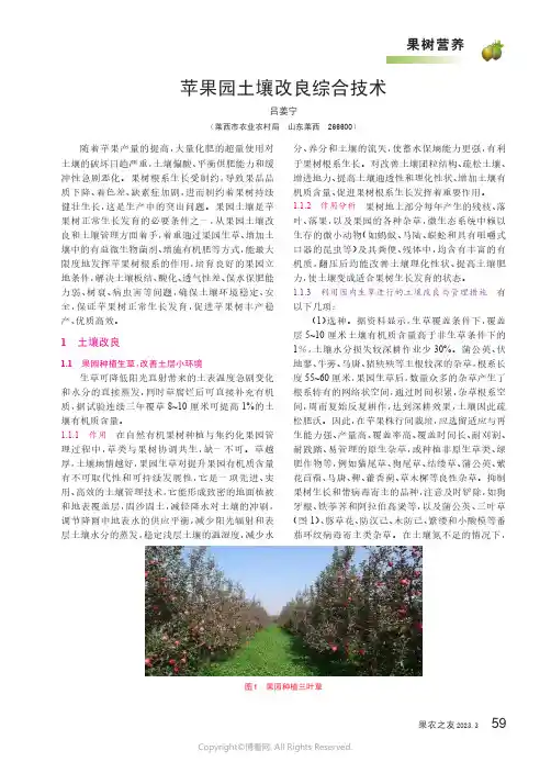苹果园土壤改良综合技术