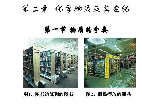 人教版化学必修一2.1物质的分类  课件 (共35张PPT)
