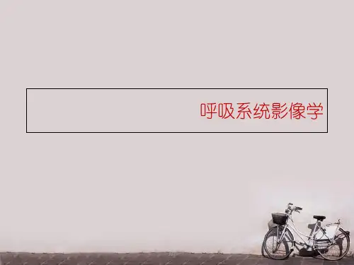 正常胸部CT解剖  ppt课件