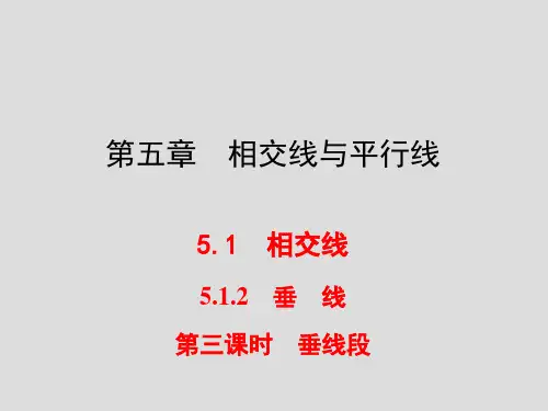人教版七年级数学下册最新习题课件：5.1.2_第2课时_垂线段