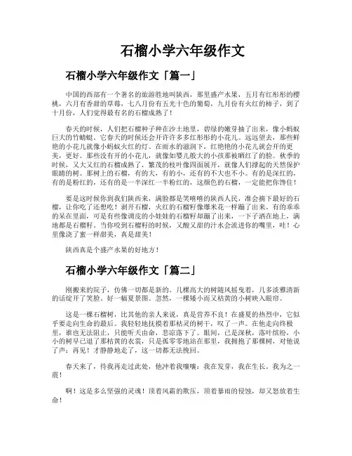 石榴小学六年级作文