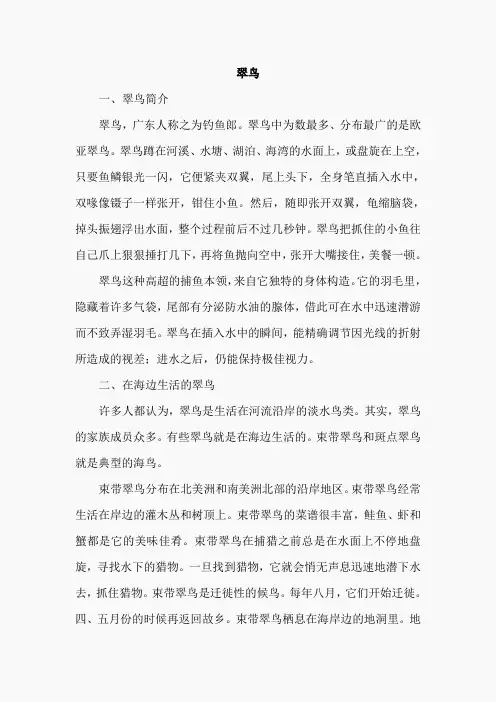 1.翠鸟(相关资料)
