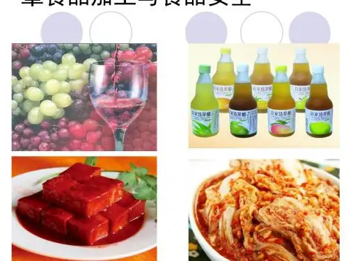 食品加工与食品安全讲义(PPT 42张)