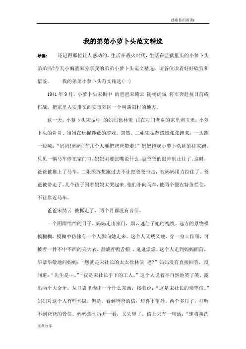 我的弟弟小萝卜头范文精选