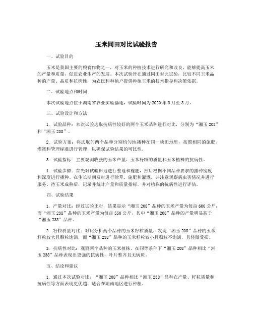 玉米同田对比试验报告