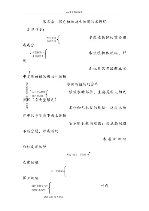 《绿色植物与生物圈的水循环》练习及答案