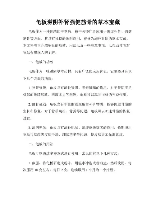 龟板滋阴补肾强健筋骨的草本宝藏