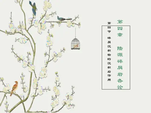 沉积学陆源碎屑岩各论沉积后作用