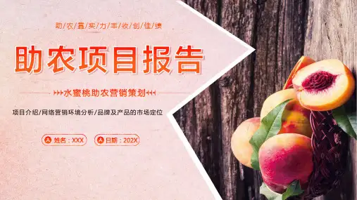 助农项目汇报水蜜桃助农营销策划