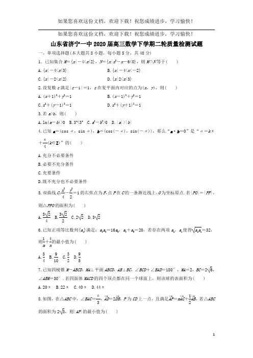 山东省济宁一中2020届高三数学下学期二轮质量检测试题