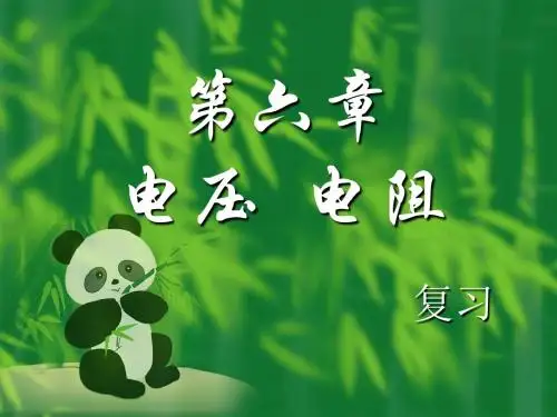 初中物理《电压、电阻复习》(共13张)ppt