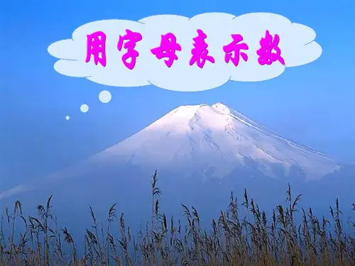最新精选-人教版五年级数学上册《用字母表示数》PPT课件