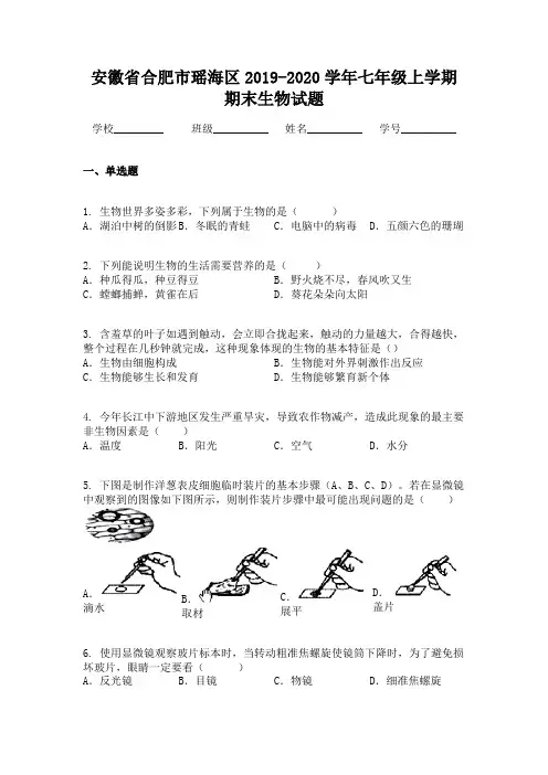 安徽省合肥市瑶海区2019-2020学年七年级上学期期末生物试题
