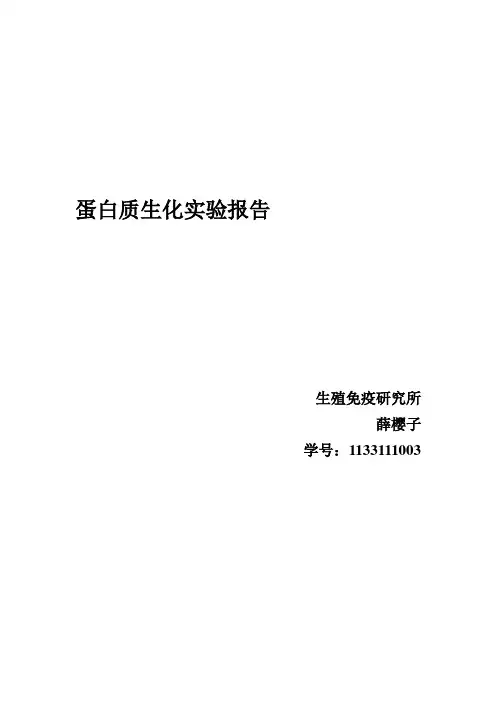 蛋白质生化技术实验报告