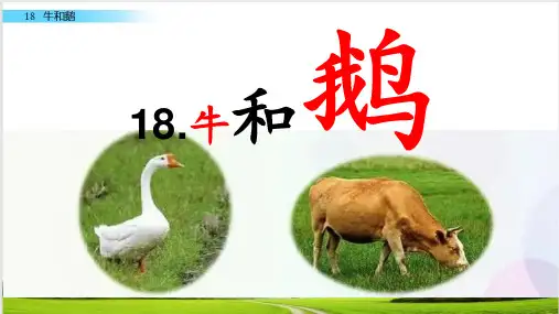 统编版语文四年级上册18《牛和鹅》课件