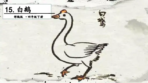四年级【下】册语文-15白鹅.人教部编版(17张ppt)公开课课件