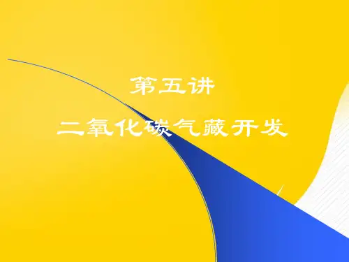 第五讲二氧化碳气藏开发PPT资料