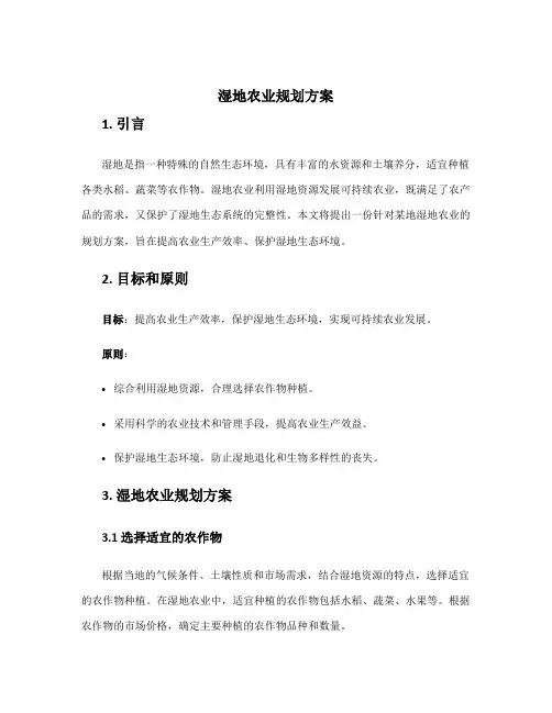 湿地农业规划方案