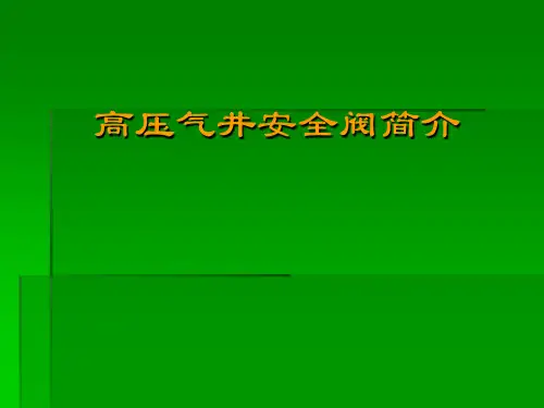 高压气井安全阀简介