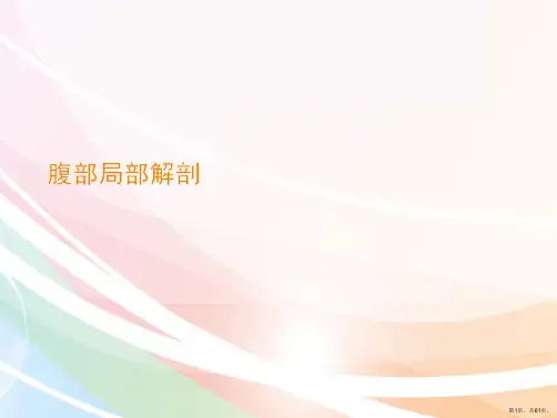 腹部局部解剖课件