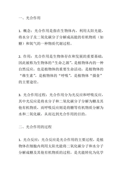 高中生物必修一光合作用笔记