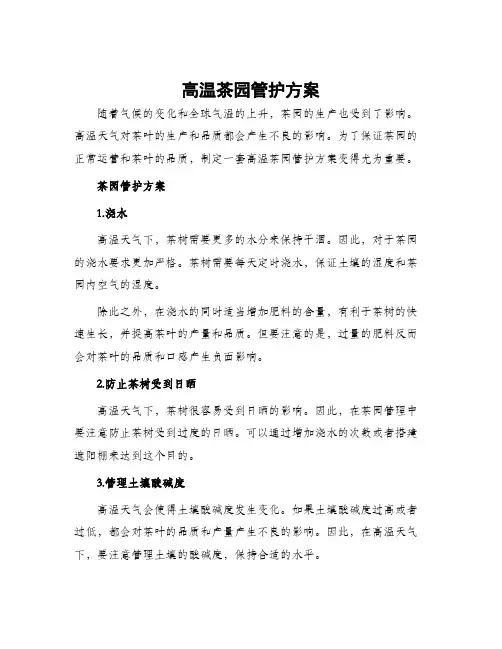 高温茶园管护方案