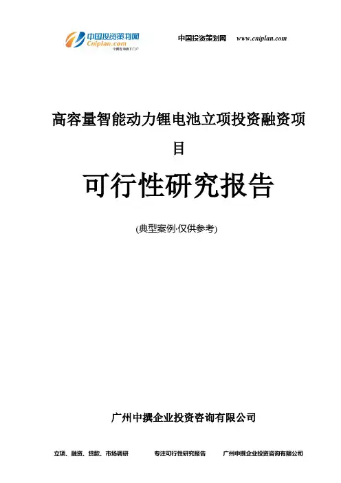 高容量智能动力锂电池融资投资立项项目可行性研究报告(中撰咨询)