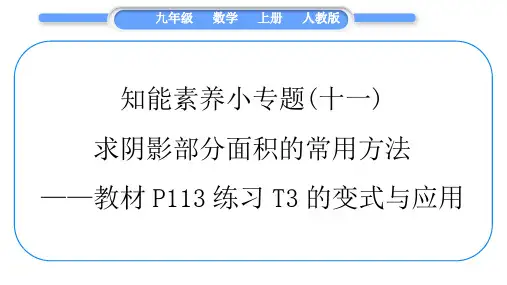 人教版九年级数学上第二十四章圆知能素养小专题(十一)求阴影部分面积的常用方法——教材P113习题课件