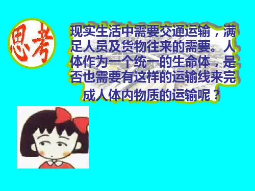 人教版初中生物七年级下册课件-4.4.1 流动的组织——血液42