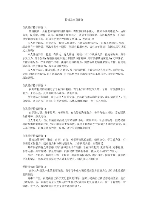 特长及自我评价