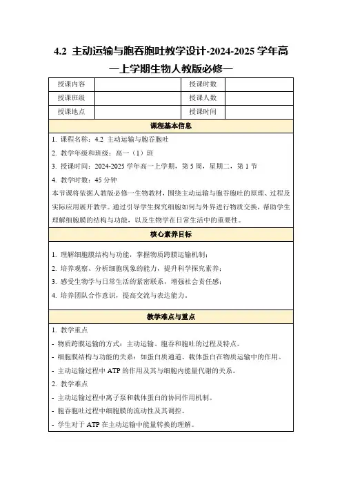 4.2主动运输与胞吞胞吐教学设计-2024-2025学年高一上学期生物人教版必修一