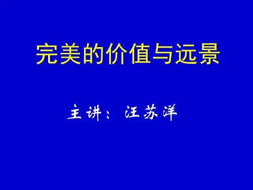 完美公司资料-完美的价值与远景汪