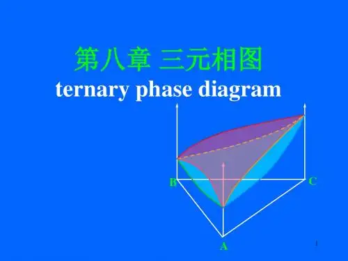 8_第八章 三元相图