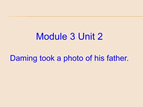 外研版三起点五年级英语上册Module3Unit2、Daming、took、a、photo、of、his、father课件2