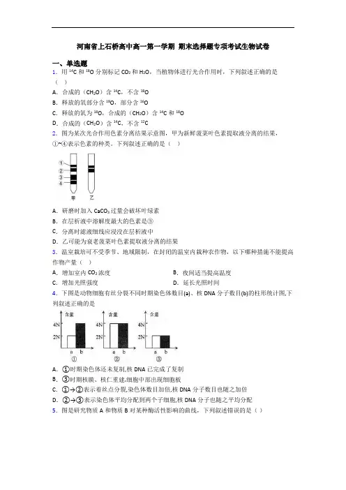 河南省上石桥高中高一第一学期 期末选择题专项考试生物试卷