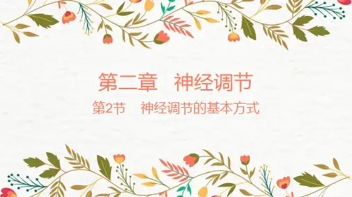 2.3.2神经冲动的产生和传导 课件 【新教材】人教版(2019)高中生物选择性必修一