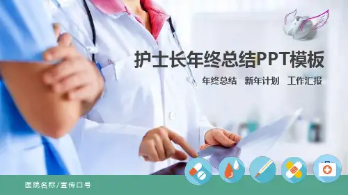 护理工作年度总结 PPT课件