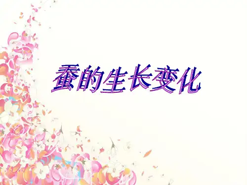 三年级下册科学课件《蚕的生长变化》教科版(共13张PPT)