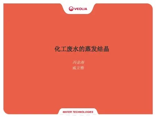 蒸发结晶技术及应用案例 威立雅冯金海 