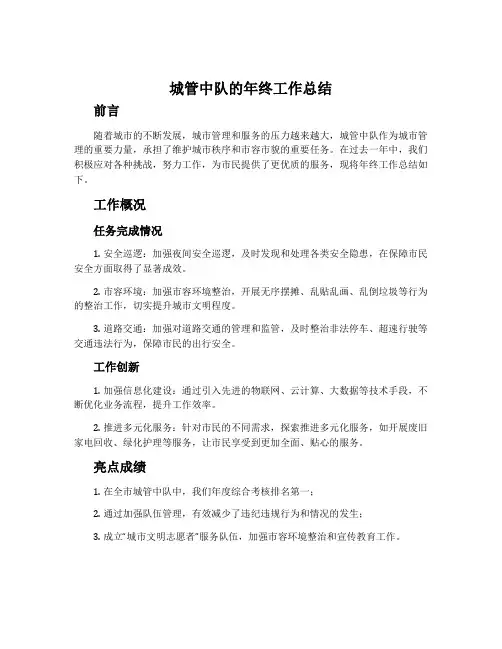 城管中队的年终工作总结范文